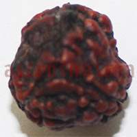 3 mukhi 24963 17mm